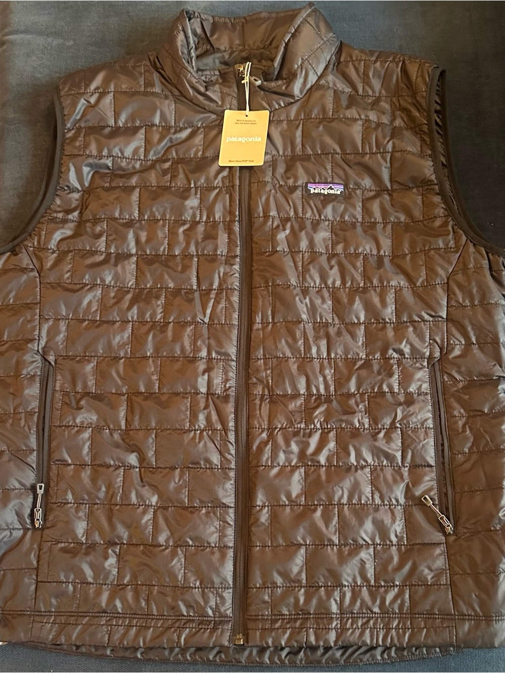 Patagonia Men's Quilted Vest in Black